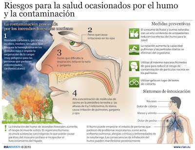 Infografía Incendios forestales