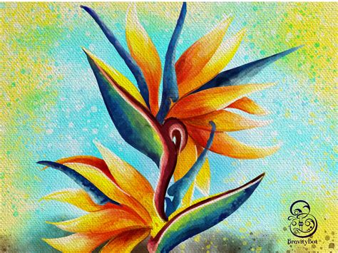 Digital Watercolor painting of Bird of Paradise flower by Brevity Bot on Dribbble