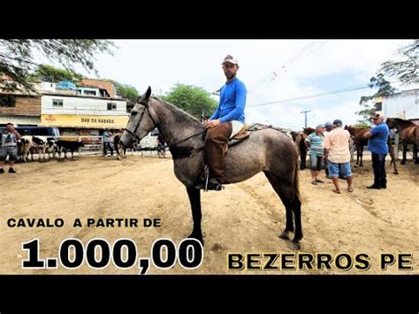 Feira De Cavalos em Bezerros Pe sábado 09 09 2023 YouTube