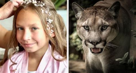 Estados Unidos Niña De 9 Años Sobrevive Al Ataque De Un Puma Lily Kryzhanivskyy Rmmn