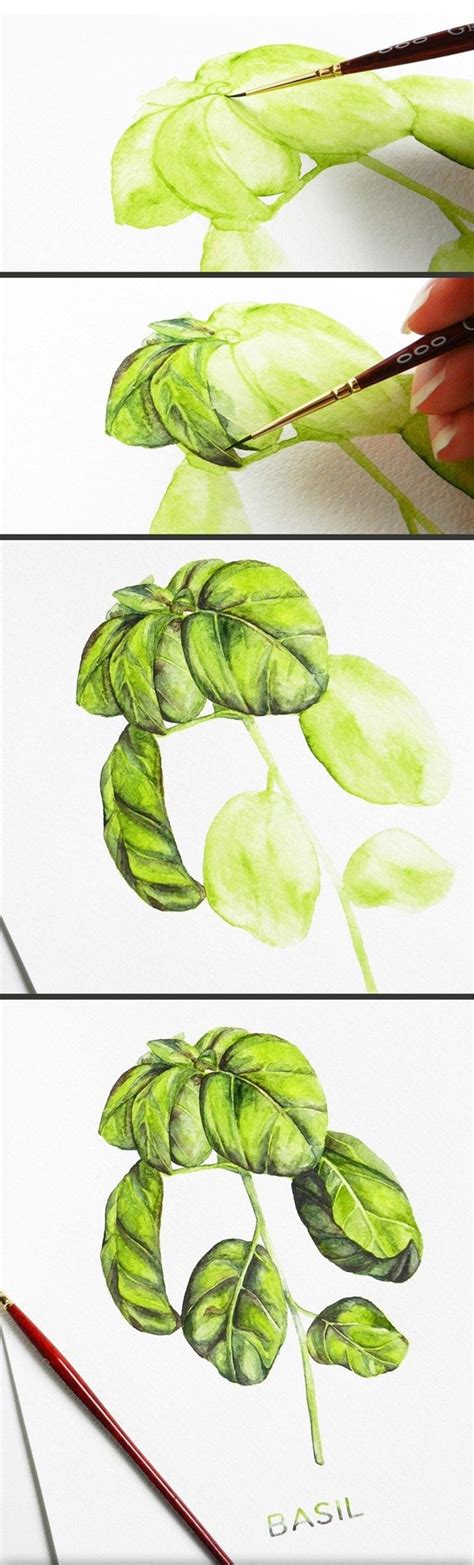 Easy Watercolor Paintings Step By Step ~ 25 Step By Step Easy