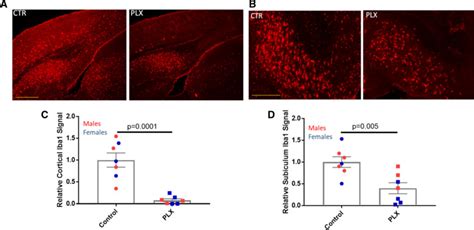 Effects Of Microglial Depletion And Trem2 Deficiency On Aβ Plaque