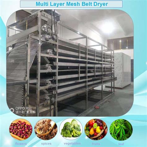 Diye Conveyor Mesh Belt Dryer For Vegetables Fruits Desiccated Coconut