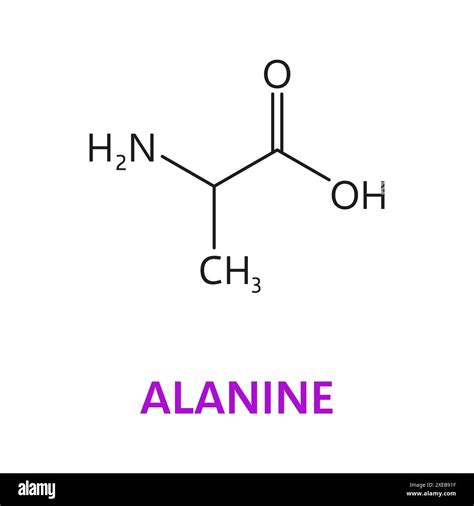 Alanine Amino Acid Chemical Molecules Essential Chain Structure