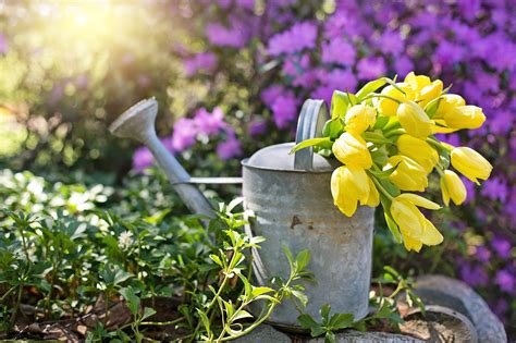 Como Fazer Um Regador Caseiro Para Deixar Seu Jardim Mais Lindo Veja