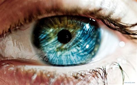 Science Your Eye Color Reveals A Lot About You The Mind Unleashed