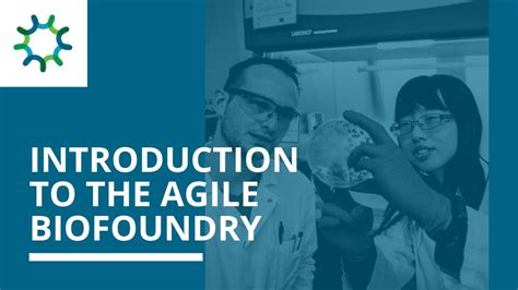 Introduction To The Agile BioFoundry YouTube