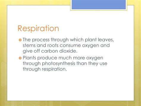 Plant Growth Ppt Download