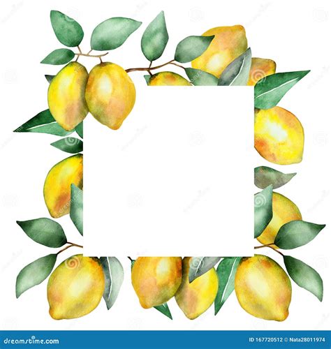 Watercolor Hand Painted Nature Squared Border Frame With Yellow Citrus