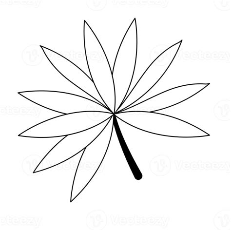 leaf cartoon in outline style 8481294 PNG