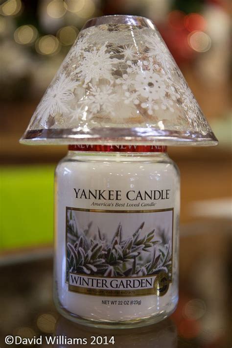 Blog Williams Nursery Yankee Candle Christmas Yankee Candle Shades Winter Candle