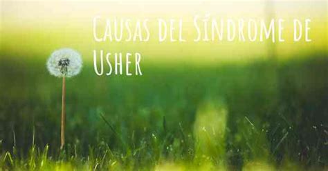 Cuales Son Las Causas Del S Ndrome De Usher