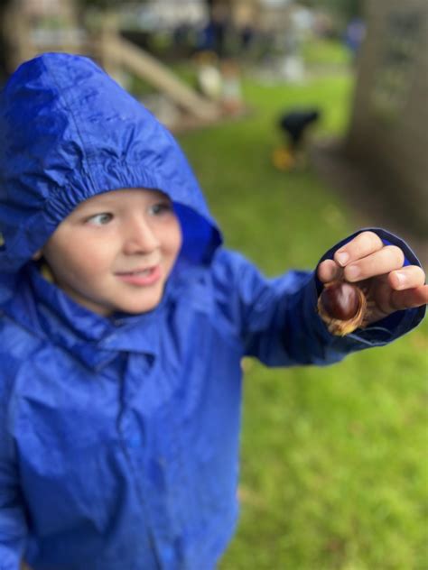 10c Level 1 About Nifsa • Forest Schools In Northern Ireland