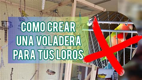 Como Hacer Una Voladera Para Tus Loros Jard N Suculento Youtube