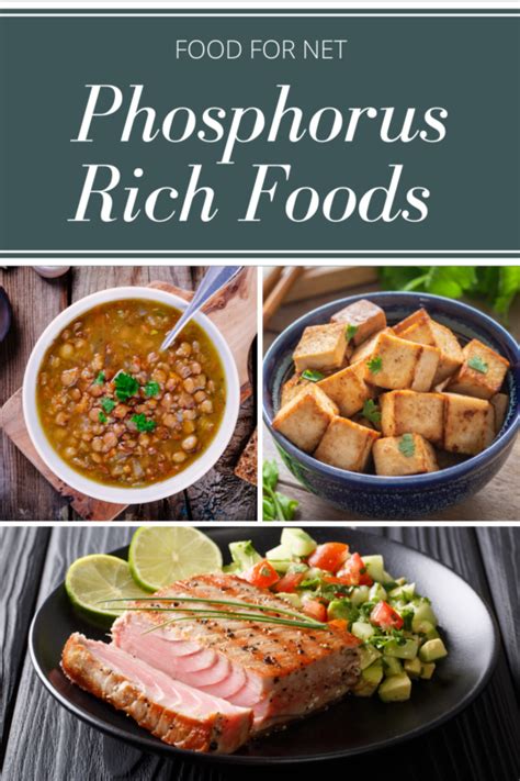 22 Phosphorus Rich Foods To Help You Balance Your Phosphorous Levels