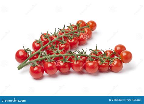 Small Cherry Tomatoes On A Vine Stock Image Image Of Background