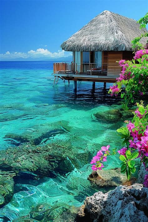 Tahiti Overwater Bungalow in 2024 | Beautiful places, Travel ...