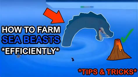 How To Efficiently Hunt Kill SEA BEASTS Blox Fruits YouTube