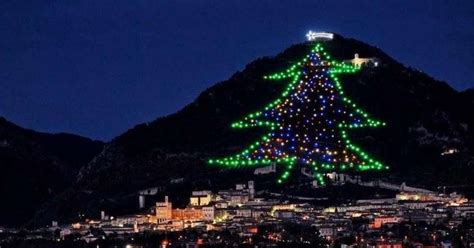 Papa Acende Luzes Da Maior Rvore De Natal Do Mundo