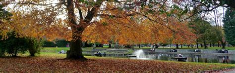 Fitzgeralds Park Cork City Parks & Gardens | Cork Guide