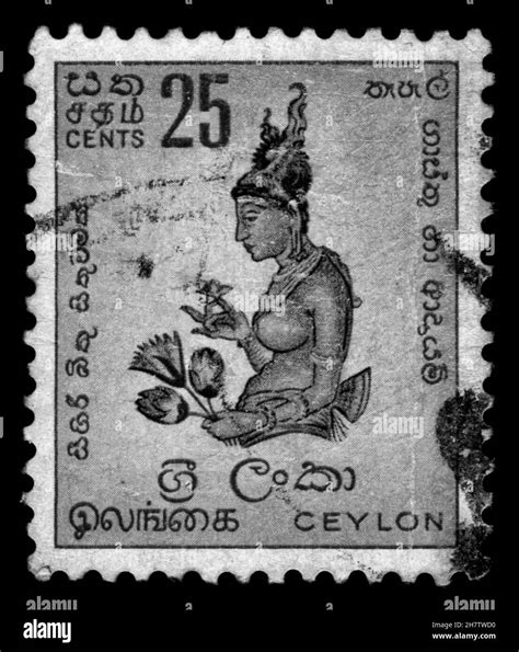 Ceylon Postage Stamp Black And White Stock Photos Images Alamy