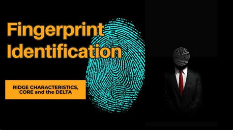 Fingerprint Identification Personal Identification Techniques Youtube