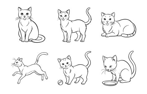 elegant cat  art set perfect   design   vector