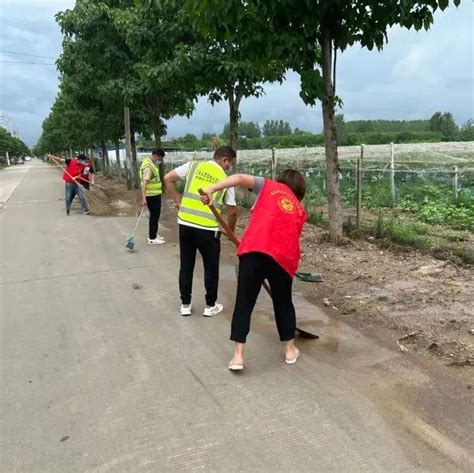 界之文明 首在实践 西城街道“党建 人居环境整治”擦亮乡村振兴底色 群众 社区 农村