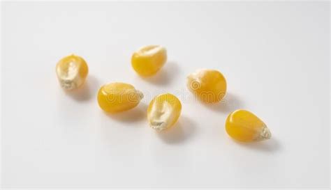 Dried Corn Kernels Placed On White Background Stock Image Image Of