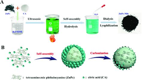 A Synthetic Routes And B Formation Mechanism For ZnPc NDs