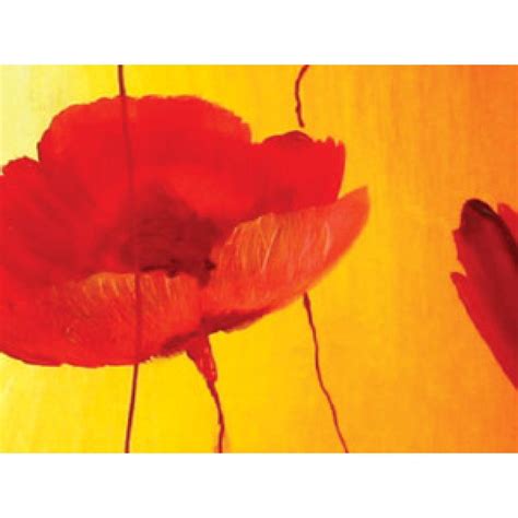 Peinture Sur Toile Coquelicots Au Soleil Coquelicots Fleurs Tableaux