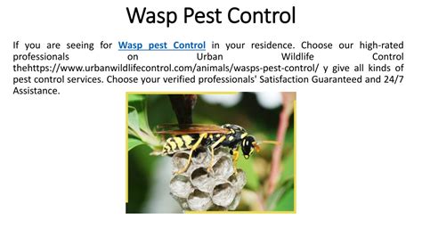 Ppt Bee Control Service Powerpoint Presentation Free Download Id 10939713