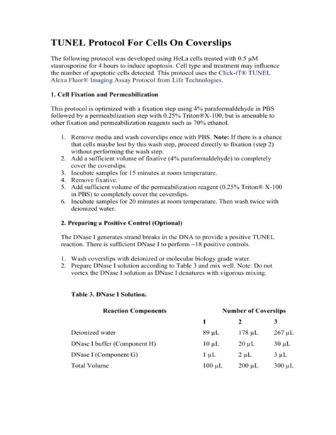 TUNEL Assay