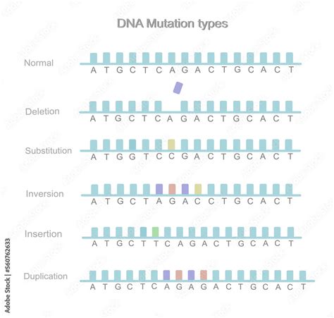 Dna Mutation Deletion