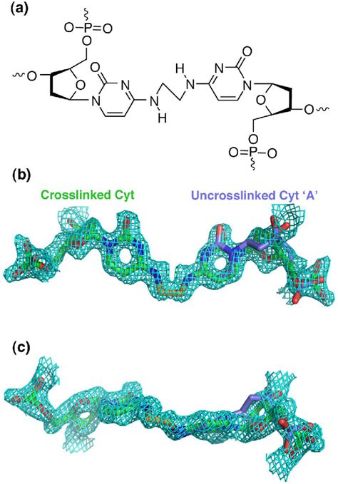 Figure 1 From Structure Of A DNA Repair Substrate Containing An Alkyl