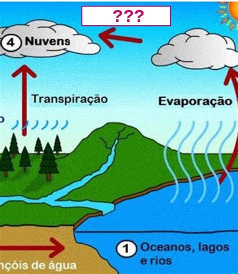 O Ciclo da Água Ensino Fundamental Flashcards Memorang