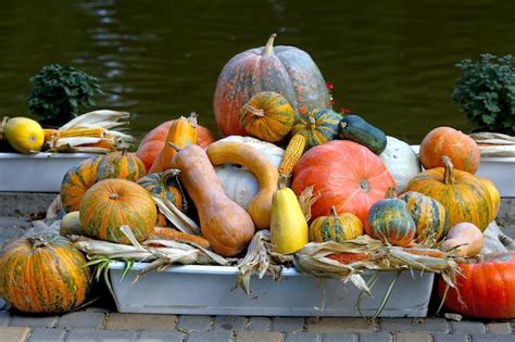 Premium Photo | Autumn harvest