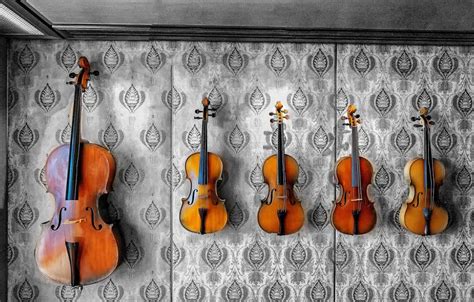 Viola Vs Violin Key Differences Between The Two Instruments