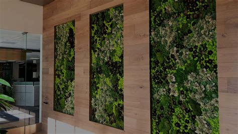 Preserved Moss Walls Greenleaf Interior Plant Solutions