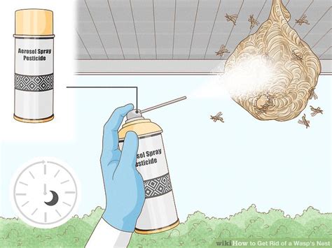 How To Get Rid Of A Wasps Nest With Pictures Wikihow