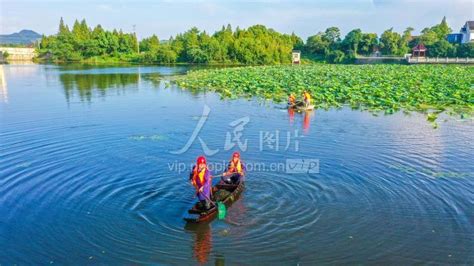 浙江湖州：巡河护水 人民图片网