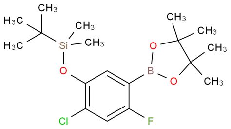 Tert Butyl Chloro Fluoro Tetramethyl Dioxaborolan