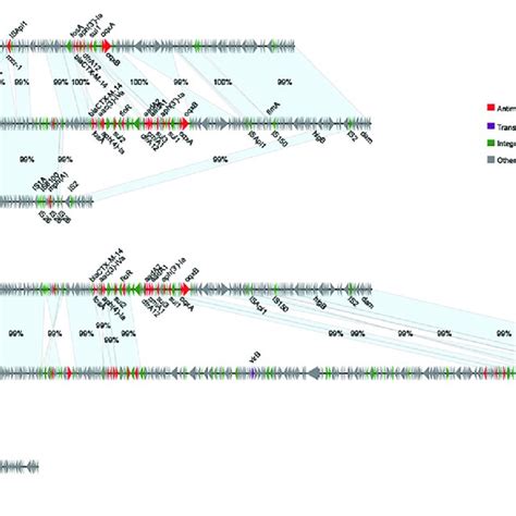 Phylogenetic Tree Of Mcr Positive Enterobacteriaceae By Pfge