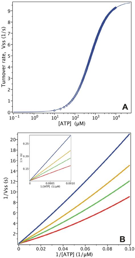 Steady State Simulation Of The Pe Alternating Cycle A Atpase