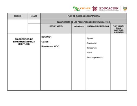 Place Plan De Cuidados De Enfermer A Dominio Clase Plan De Cuidados