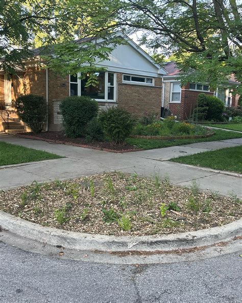 North Park Community Market... - North Park Community Market