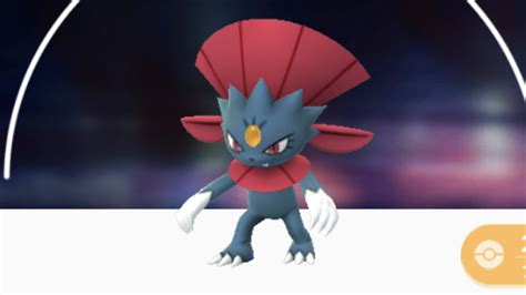 What are the best moves for Weavile in Pokemon GO? - Gamer Journalist