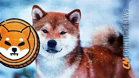 Shiba Inu Price Predictions By Elon Musks Ai Grok Guest Post By