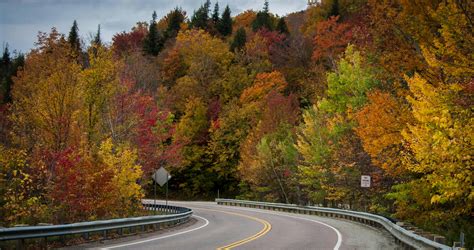 Free stock photo of colorful road, fall colors, fall foliage