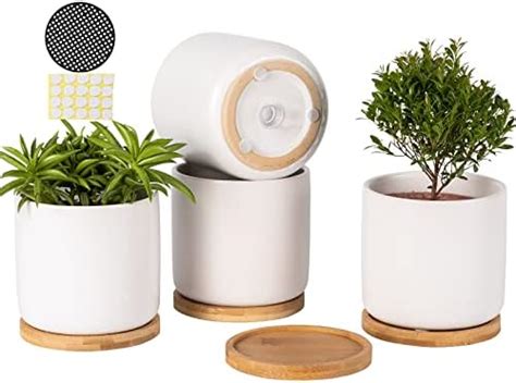 Amazon Aomryom Inch Ceramic White Cylinder Plant Pots With